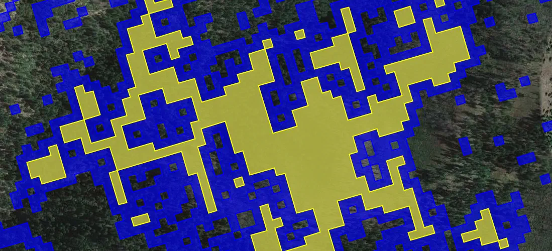 Polygon patches of core unburned forest