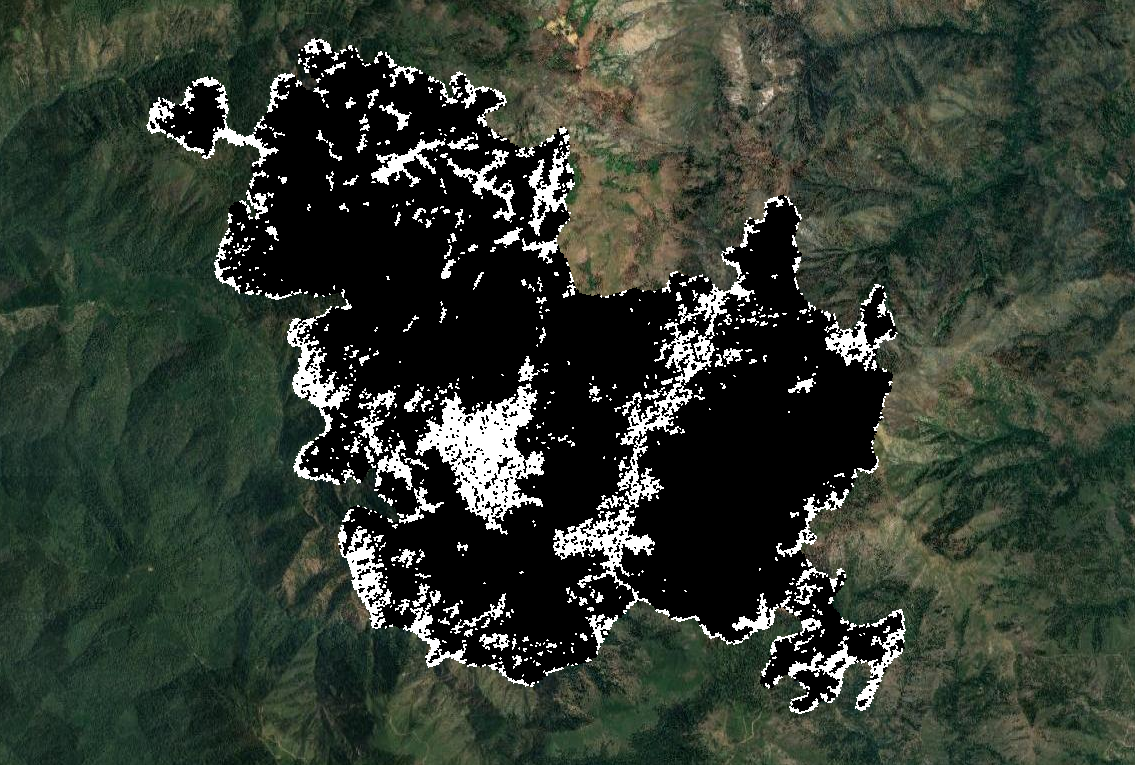 A classified map of unburned forest patches
